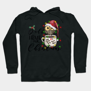 Owl Be Home For Christmas, Cute Xmas Bird Owls Pun Humor Adorable Hoodie